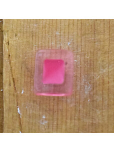 1/2" Hot Pink Rectanguler #E33-203