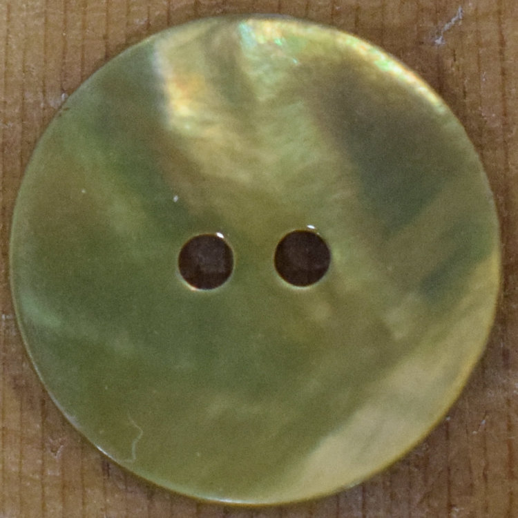 13/16" Gold Shell #310500