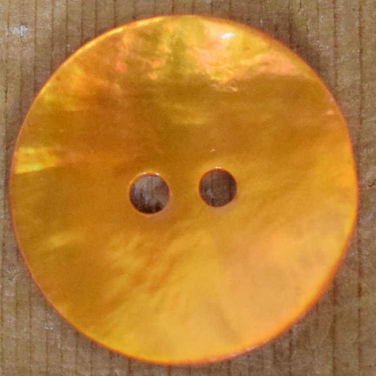 13/16" Orange Shell #310503