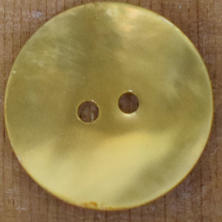 13/16" Yellow Shell #310502