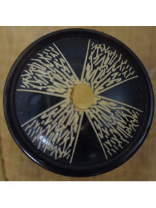 7/8" Black/Brown #EE-1