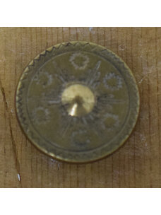 7/8" Brass Button #7