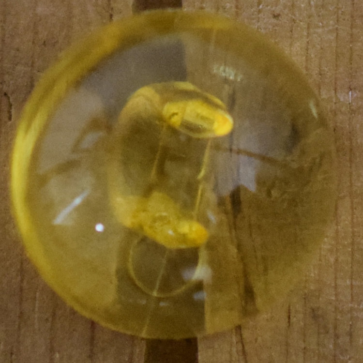 7/8" Sunflower #A2-14