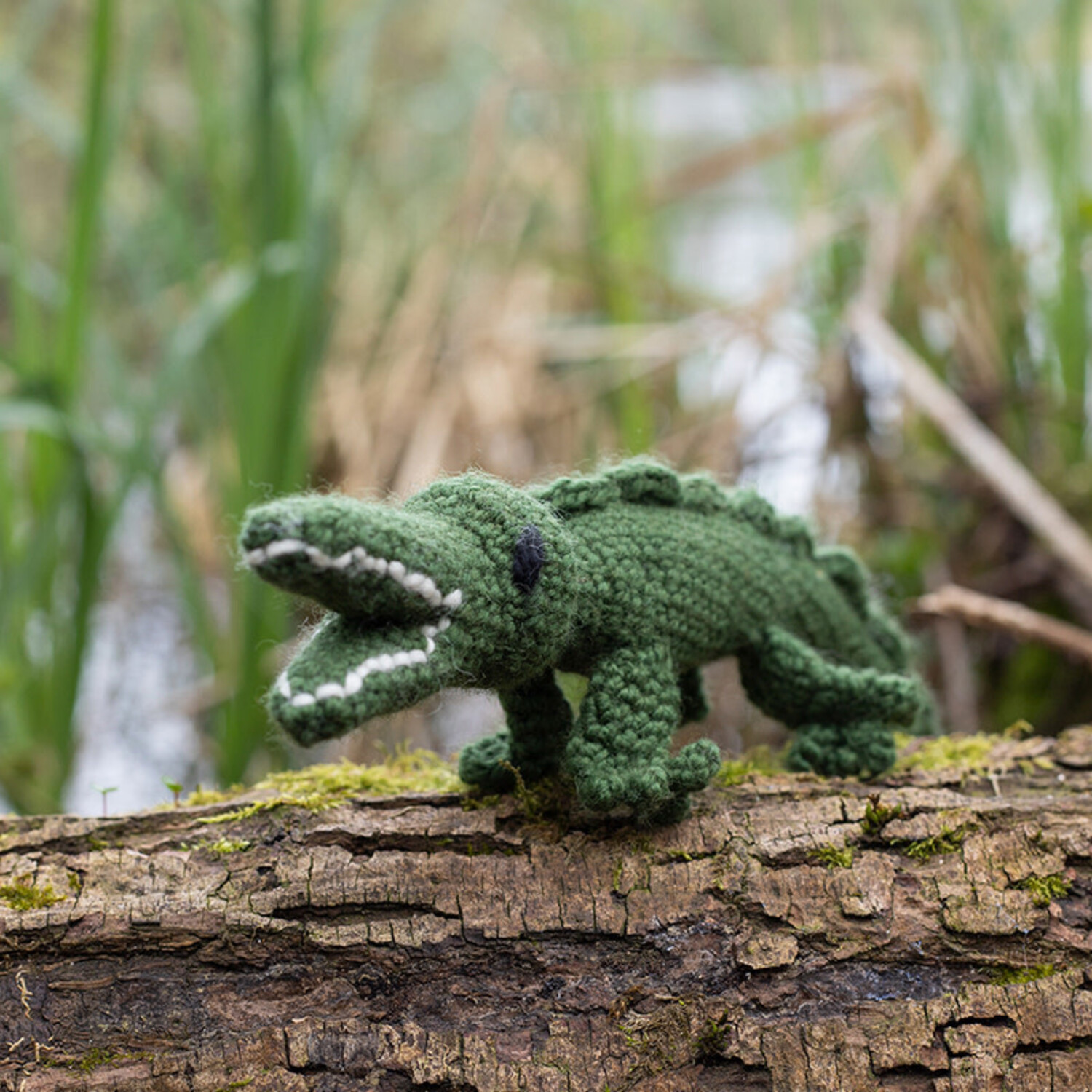 Mini Nicholas the Crocodile - Sealed with a Kiss