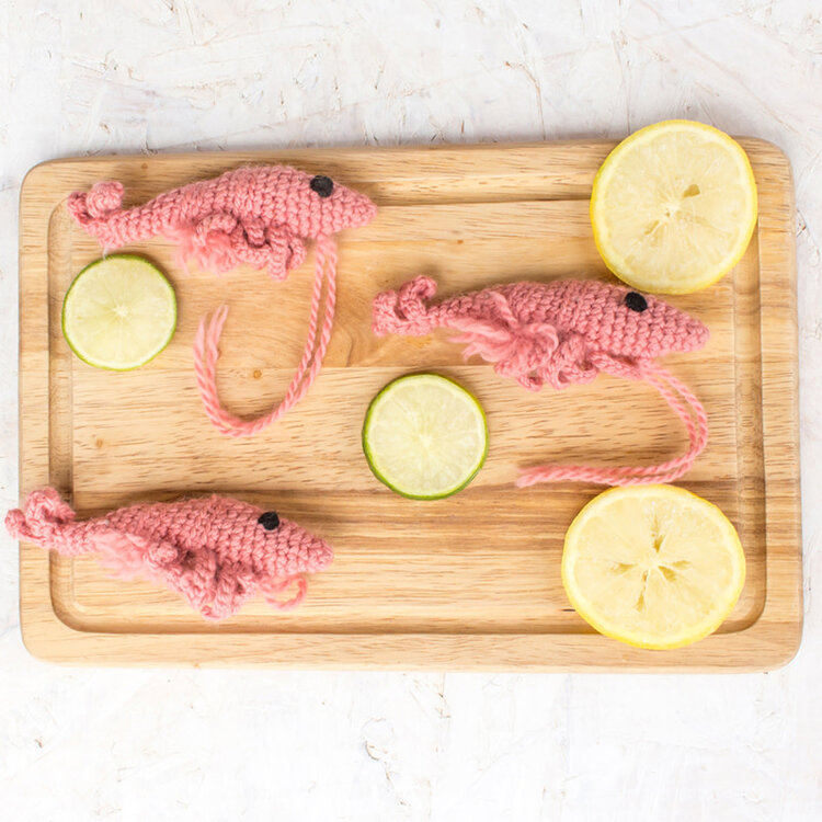 TOFT Prawns in a Can