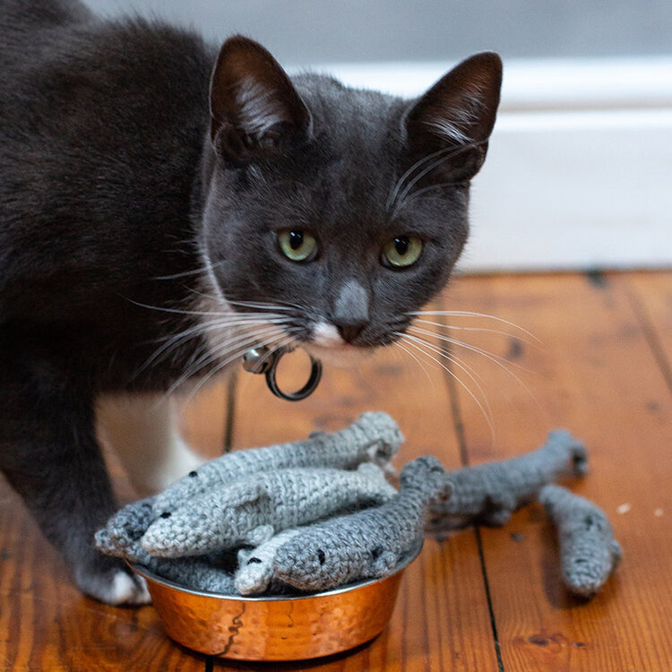 TOFT Sardines in a Can