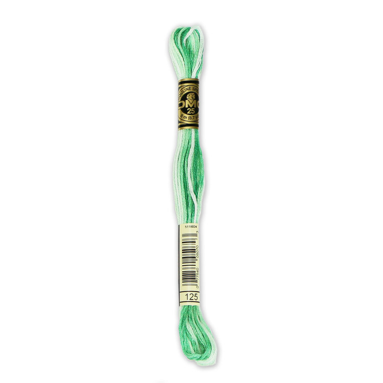 DMC Embroidery Floss 125 (Spring Green Ombre)