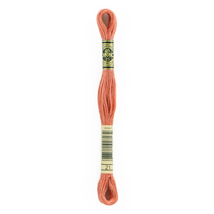 DMC Embroidery Floss 21 (Prosciutto)