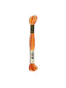 DMC 51 (Pumpkin Ombre)