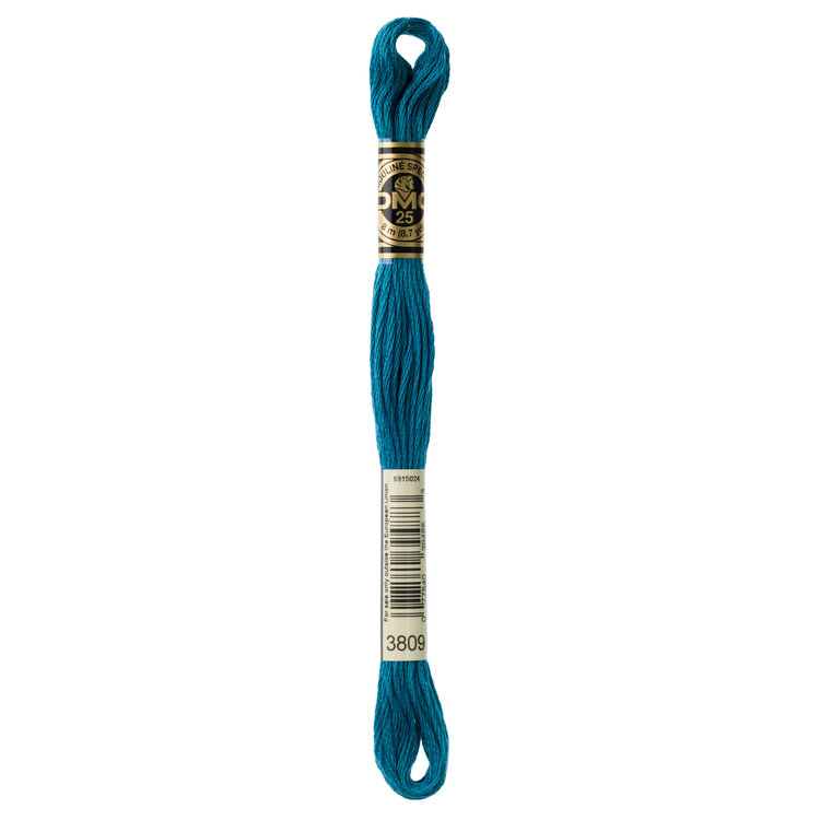 DMC Embroidery Floss 3809 (Sea Cave)