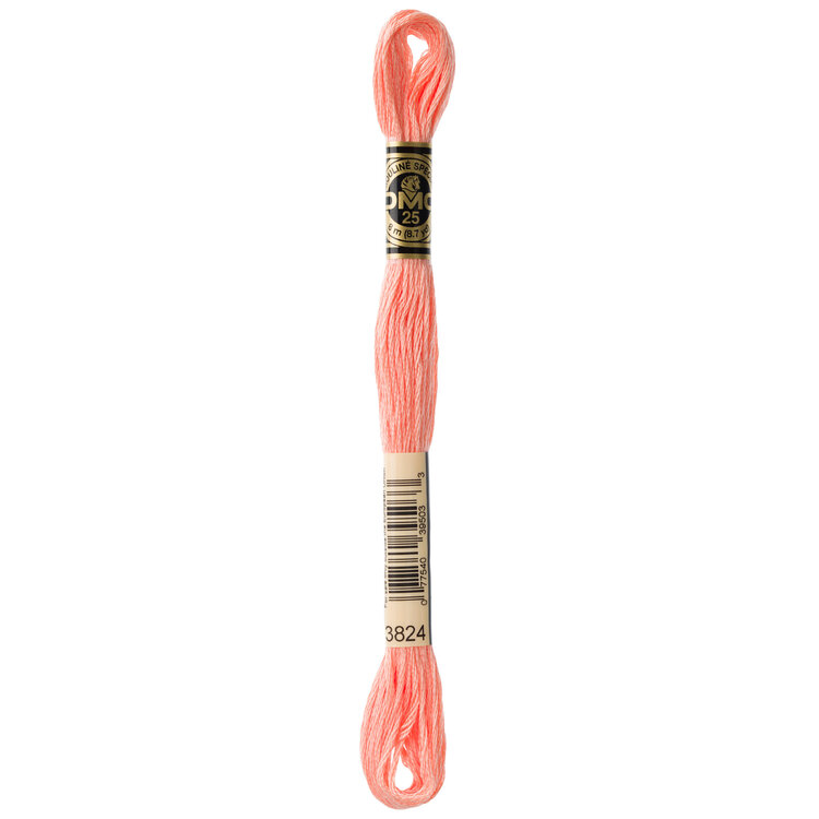 DMC Embroidery Floss 3824 (Strawberry Apricot)