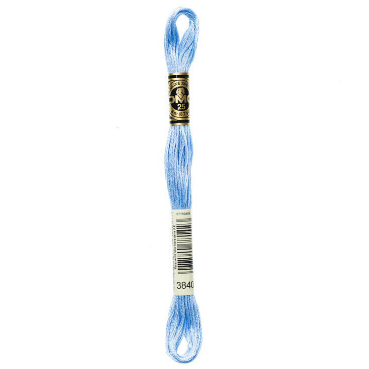 DMC Embroidery Floss 3840 (Little Flower Blue)