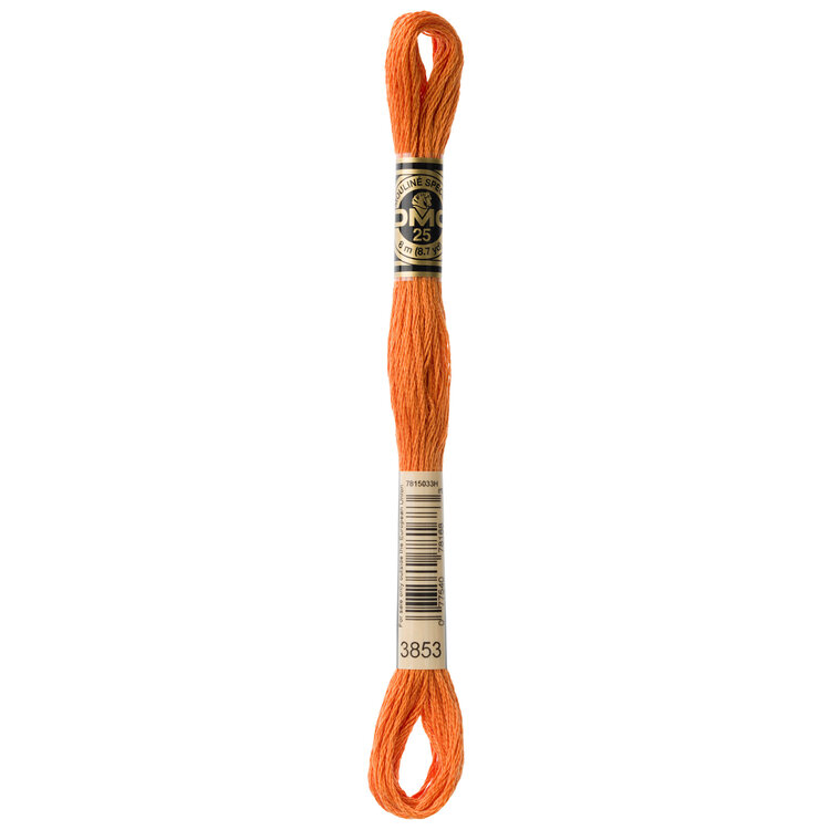 DMC Embroidery Floss 3853 (Copper)