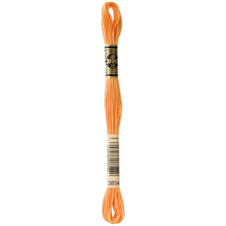 DMC Embroidery Floss 3854 (Chai Spice)