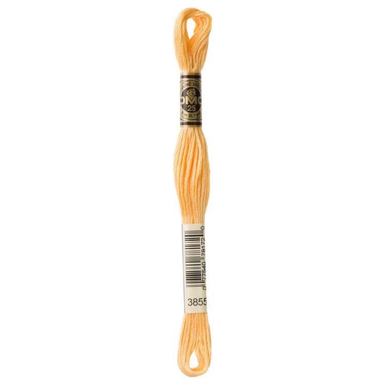 DMC Embroidery Floss 3855 (Dessert Winds)