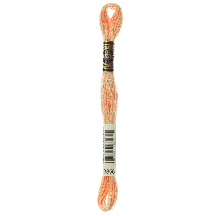 DMC Embroidery Floss 3856 (Buff)