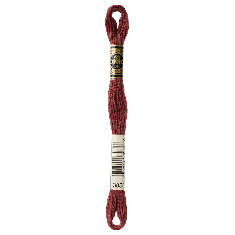 DMC Embroidery Floss 3858 (Rose Brown)