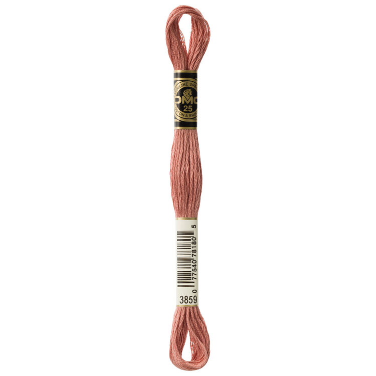 DMC Embroidery Floss 3859 (Clay)