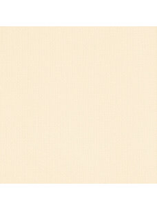 DMC Aida 14 (0322 Antique White) 20x24