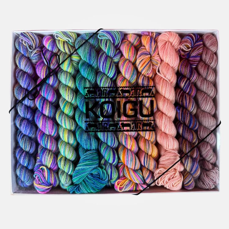Koigu KPPPM Pencil Box Set | Vacation