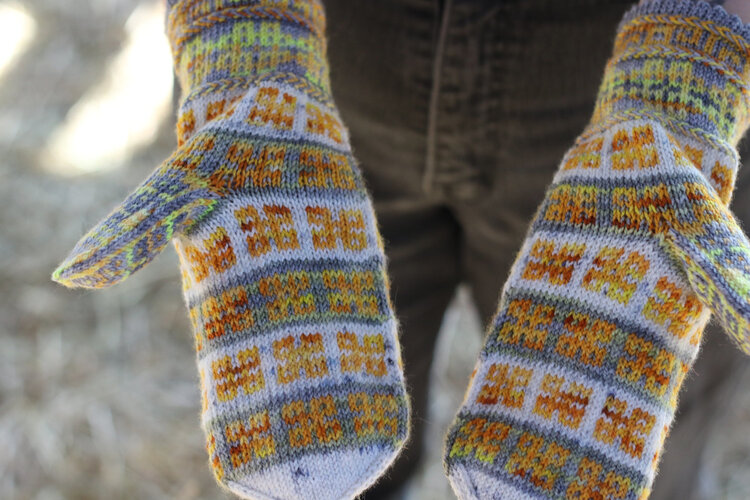 Koigu Paint Can Collection