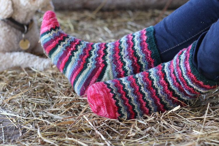 Koigu Paint Can Collection