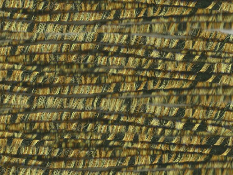 OnLine Amarilla | 03 (Chartreuse)