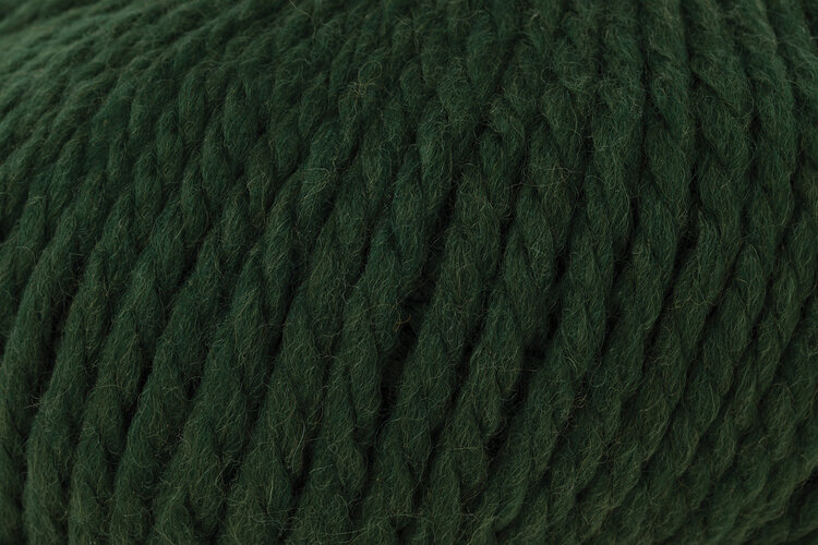 Rowan Big Wool | 043 (Forest)