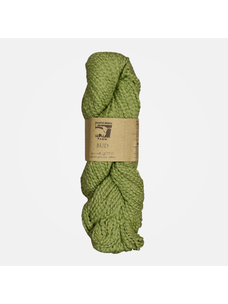 Juniper Moon Bud | 106 (Bells of Ireland)