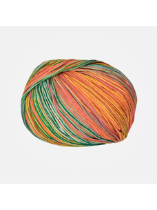 Queensland Collection Cairns | 45 (Port Douglas)