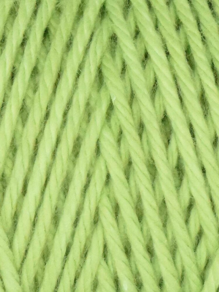 Queensland Collection Coastal Cotton | 1061 (Sage)