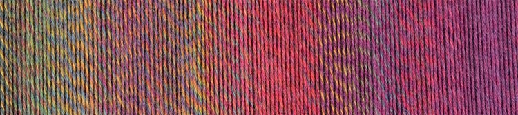 Schoppel-Wolle Crazy Perlen | 2586 (Octobass)