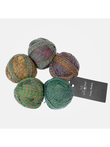 Schoppel-Wolle Crazy Perlen | 2587 (Omnichord)