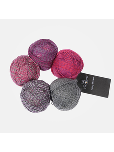 Schoppel-Wolle Crazy Perlen | 2588 (Daxophone)