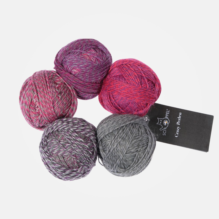 Schoppel-Wolle Crazy Perlen | 2588 (Daxophone)