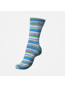 Regia Garden City Color Dee Hardwicke | 3851 (Clematis)