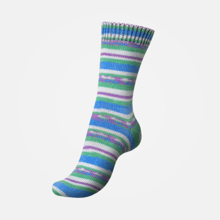 Regia Garden City Color Dee Hardwicke | 3851 (Clematis)