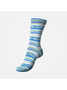 Regia Garden City Color Dee Hardwicke | 3852 (Delphinium)