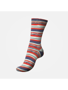 Regia Garden City Color Dee Hardwicke | 3853 (Anemone)