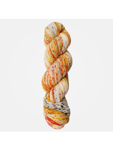Araucania Huasco Sock Hand Painted | 1032 (Scarlet-banded Barbet)