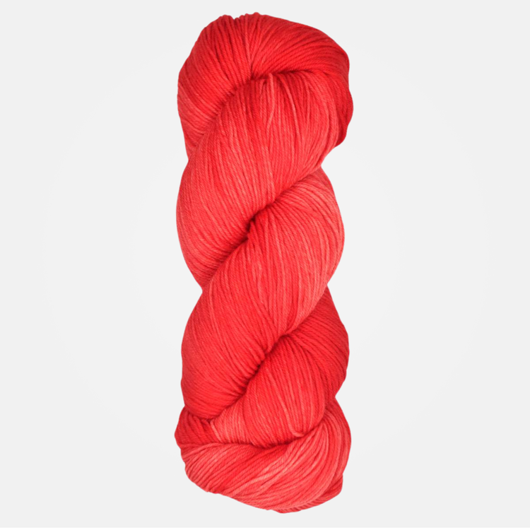 Araucania Huasco Sock Kettle Dyes | 1009 (Scarlet)