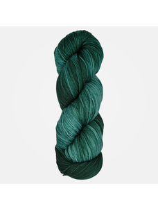 Araucania Huasco Sock Kettle Dyes | 1016 (Balsam)