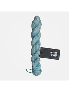 Baah Yarn La Jolla Mini Skeins | Blue Moon