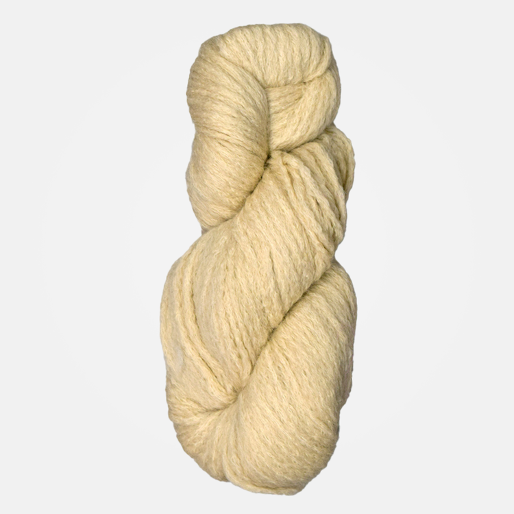 Mirasol Phullu | 116 (Magnolia)