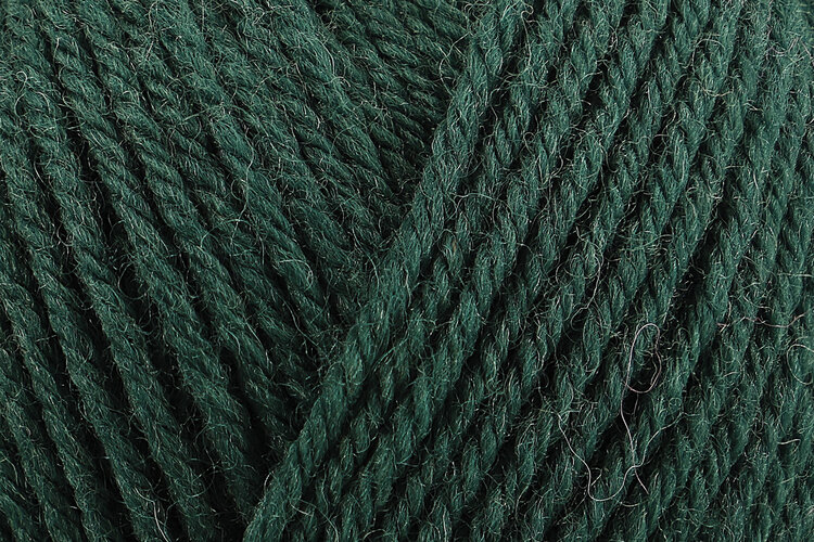 Rowan Pure Wool Superwash Worsted | 200 (Verdant)