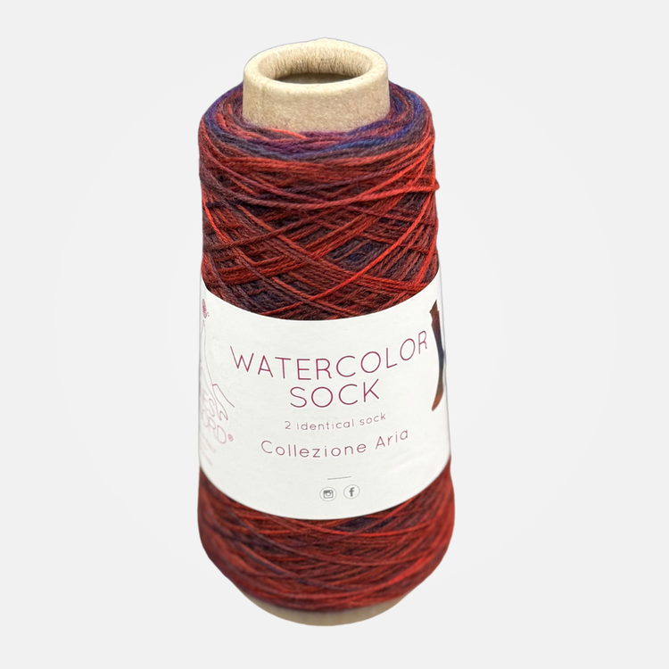 Laines du Nord Watercolor Sock | 105