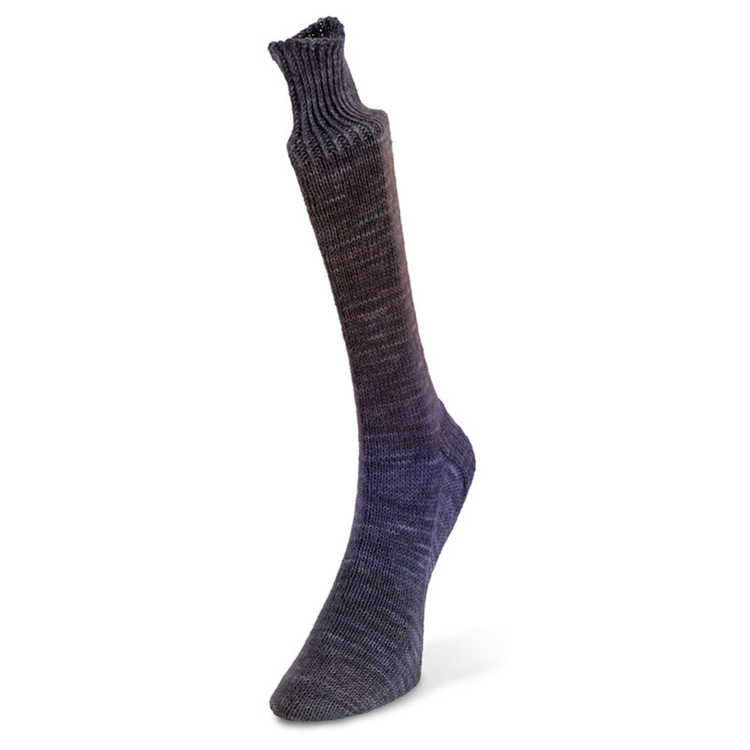 Laines du Nord Watercolor Sock | 106