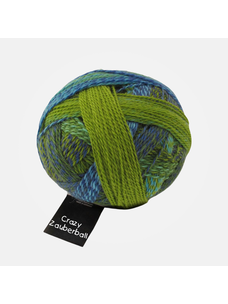 Schoppel-Wolle Zauberball Crazy | 2136 (Spring Has Come!)