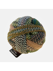 Schoppel-Wolle Zauberball Crazy | 2250 (Jacket and Trousers)