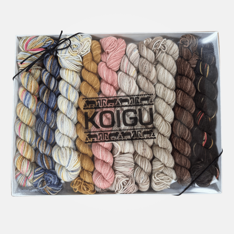 Koigu KPPPM Pencil Box Set | Latte Venation